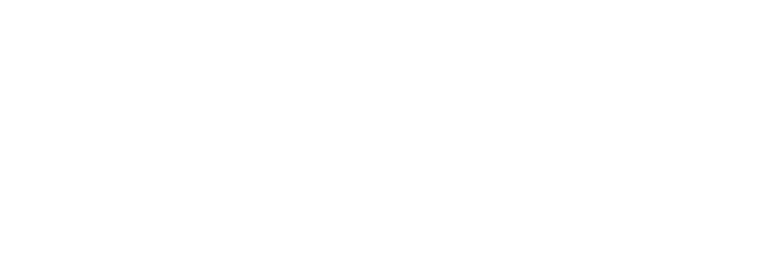 Irma del Carmen Photo Logo